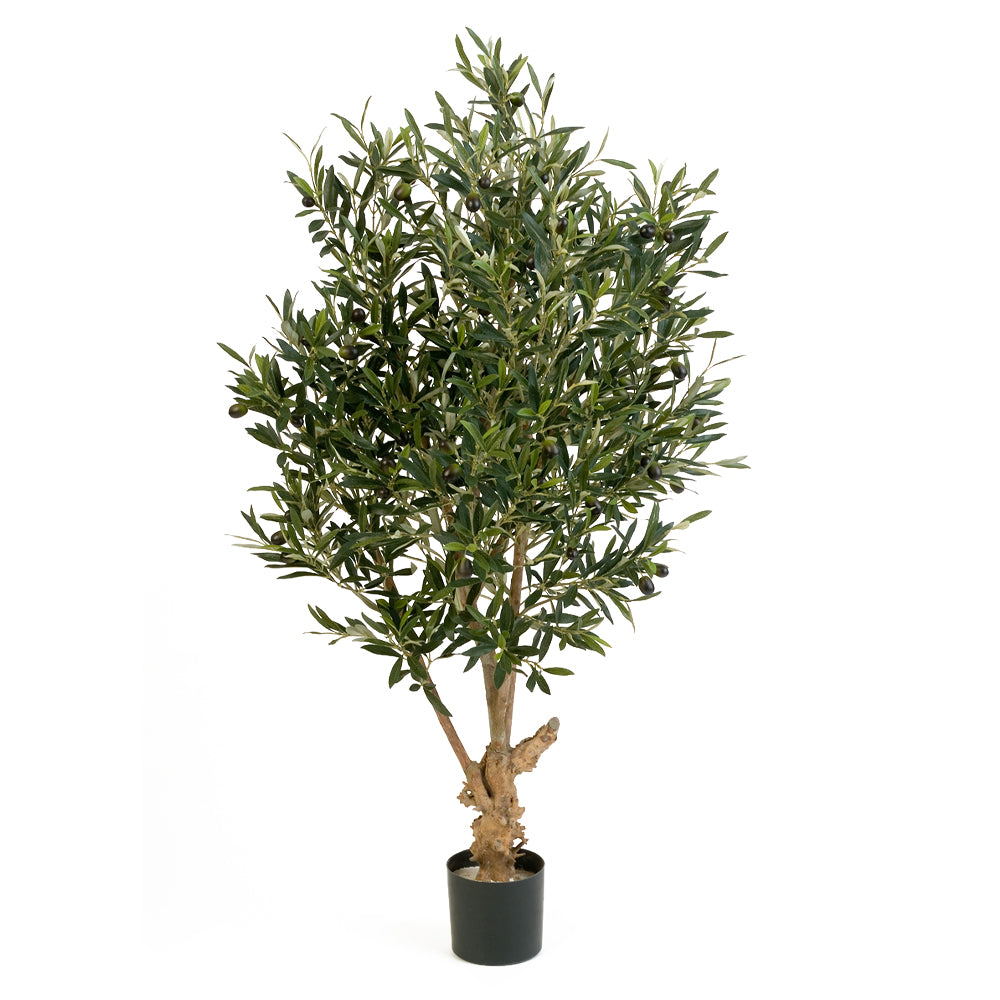 Élethű 120 cm magas mű olajfa fekete kaspóban