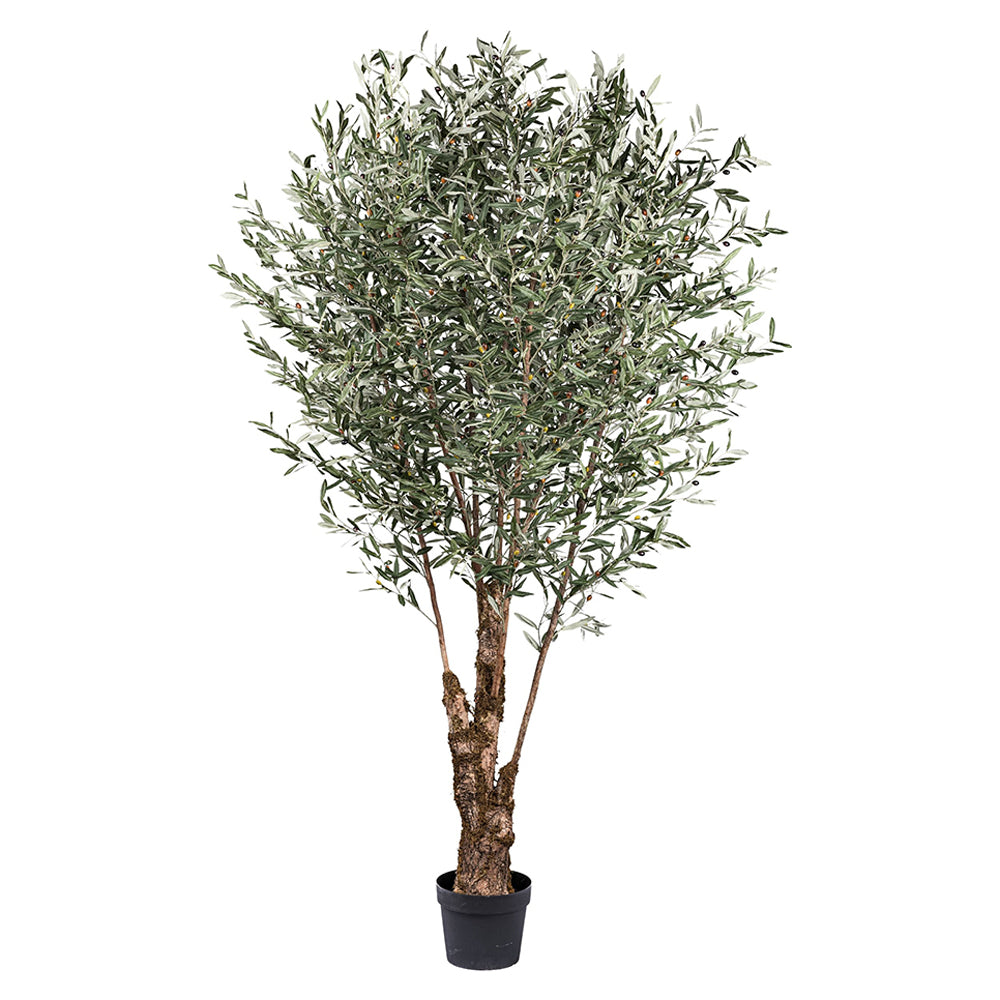 Nagyméretű, 270 cm magas mű olajfa fekete kaspóban, élethű levelekkel és bogyókkal.