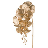 Aranyszínű, szálas mű orchidea.