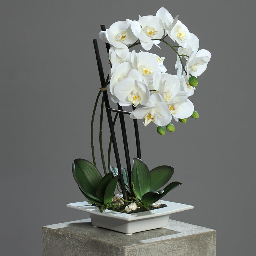 Real Touch fehér mű orchidea elegáns szürke, lapos kerámia kaspóban