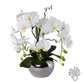 Fehér színű, mű orchidea, ezüstszínű kerámia kaspóban.