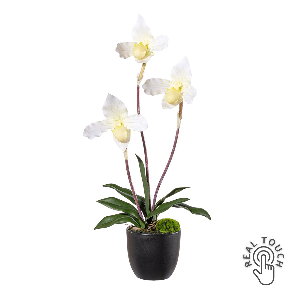 45 cm magas fehér mű papucsorchidea Real Touch virágokkal fekete kaspóban.
