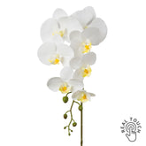 Fehér mű orchidea szál, Real Touch hatással, 86 cm magas.
