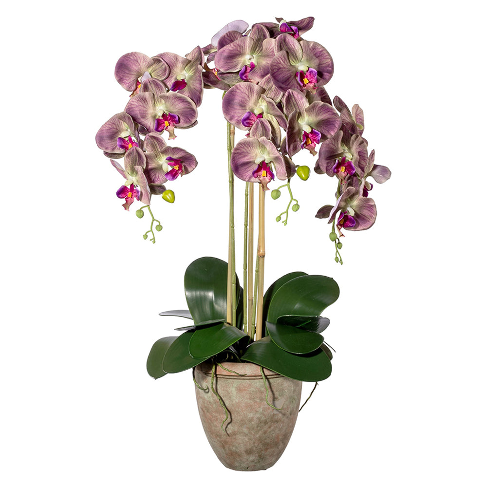 lila 75 cm magas mű orchidea terrakotta kaspóban.