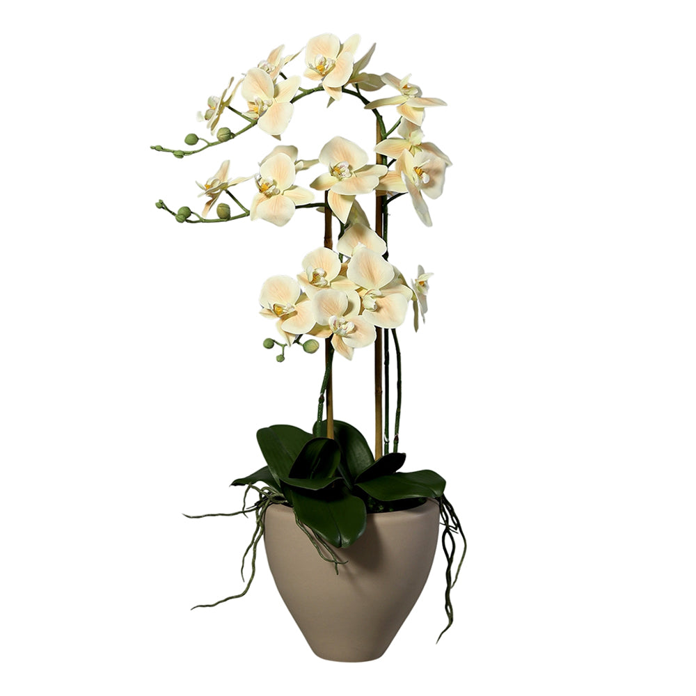 Púderszínű mű orchidea kerámia kaspóban, 70 cm magas dekoráció teljes nézetben