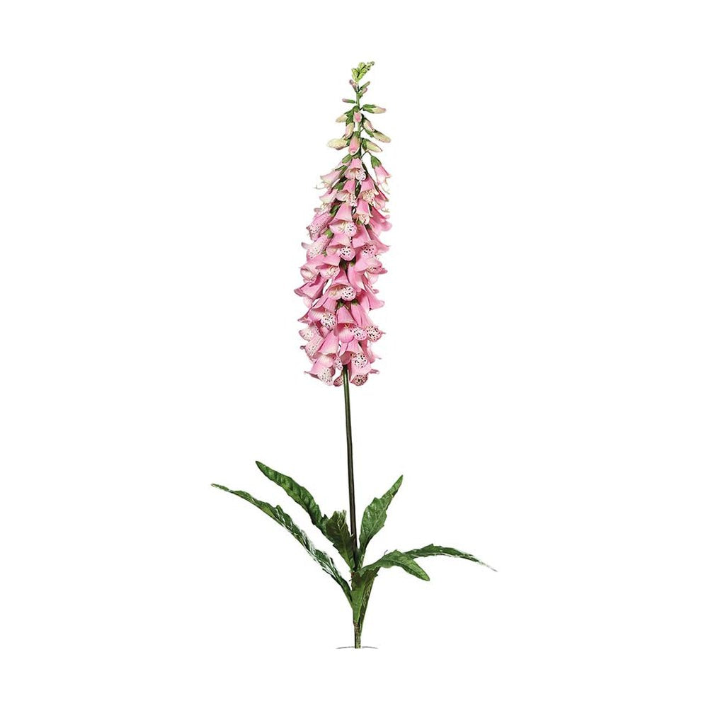Óriás mű gyűszűvirág 120 cm pink "Digitalis"
