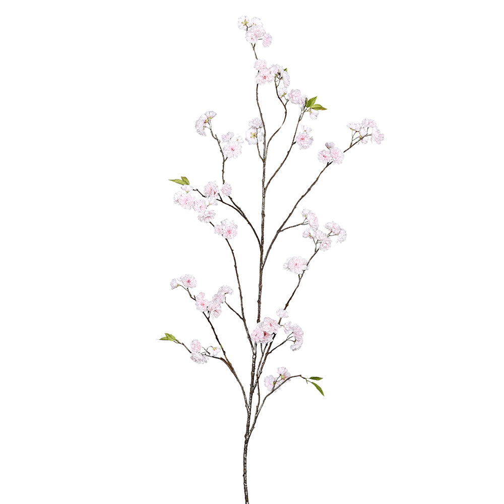 Virágzó mű cseresznyefa ág, halvány rózsaszín színű nyílt és bimbós virágokkal.