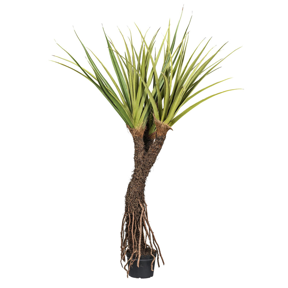 Pandanus tectorius mű illatos csavarpálma 210 cm fekete kaspóban, élethű levelekkel és léggyökerekkel.