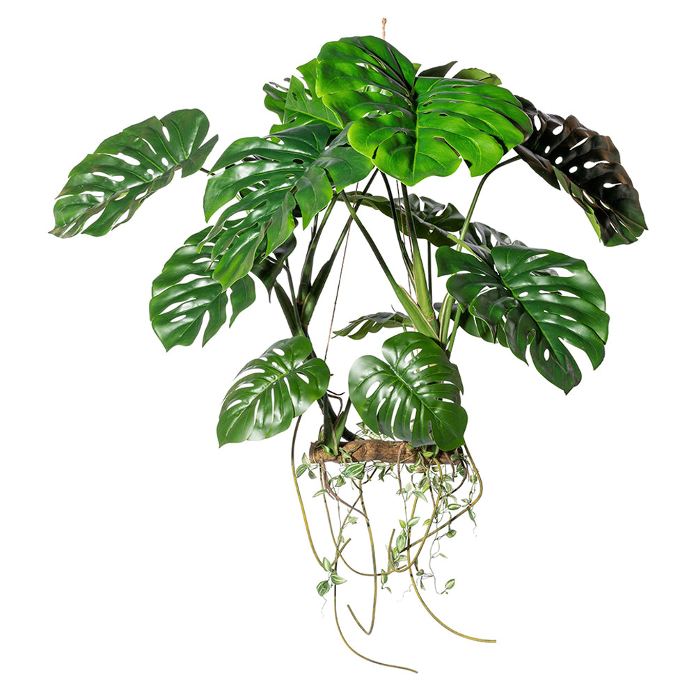Függeszthető 100 cm magas mű filodendron kompozíció élethű levelekkel és légzőgyökerekkel.