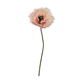 Hosszú szárú, barack színű mű pipacs virág.