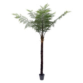 Óriás, 330 cm magas mű serlegpáfrány, fás törzzsel és gazdag zöld lombkoronával, fekete cserépben.”