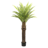 POLYPODIOPSIDA zöld mű dicksonia páfrányfa 160 cm teljes egészében, fekete műanyag cserépben fehér háttér előtt