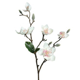 Krém és rózsaszín színű, virágzó magnólia művirág nyílt és rügyező virágokkal.