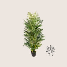 Real Touch Műnövények