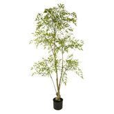 150 cm magas mű ruszkusz cserje fekete műanyag cserépben, fehér háttér előtt.