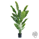 Strelitzia Nicolai 180 cm-es zöld műnövény fekete cserépben, Real Touch hatással