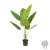 Fehér háttér előtt álló, 120 cm magas, Real Touch hatású mű strelitzia növény fekete cserépben.