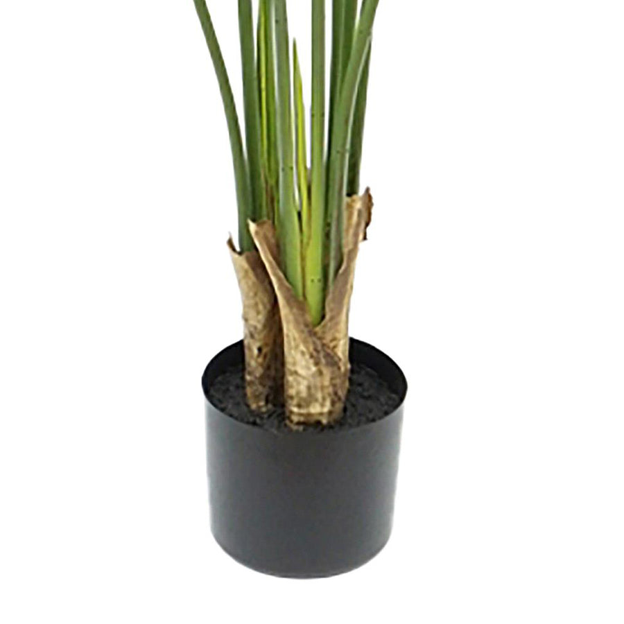 Strelitzia mű növény alsó törzsrész és kaspó közelről.