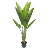 Élethű mű strelitzia növény 110 cm magas, fekete kaspóban.