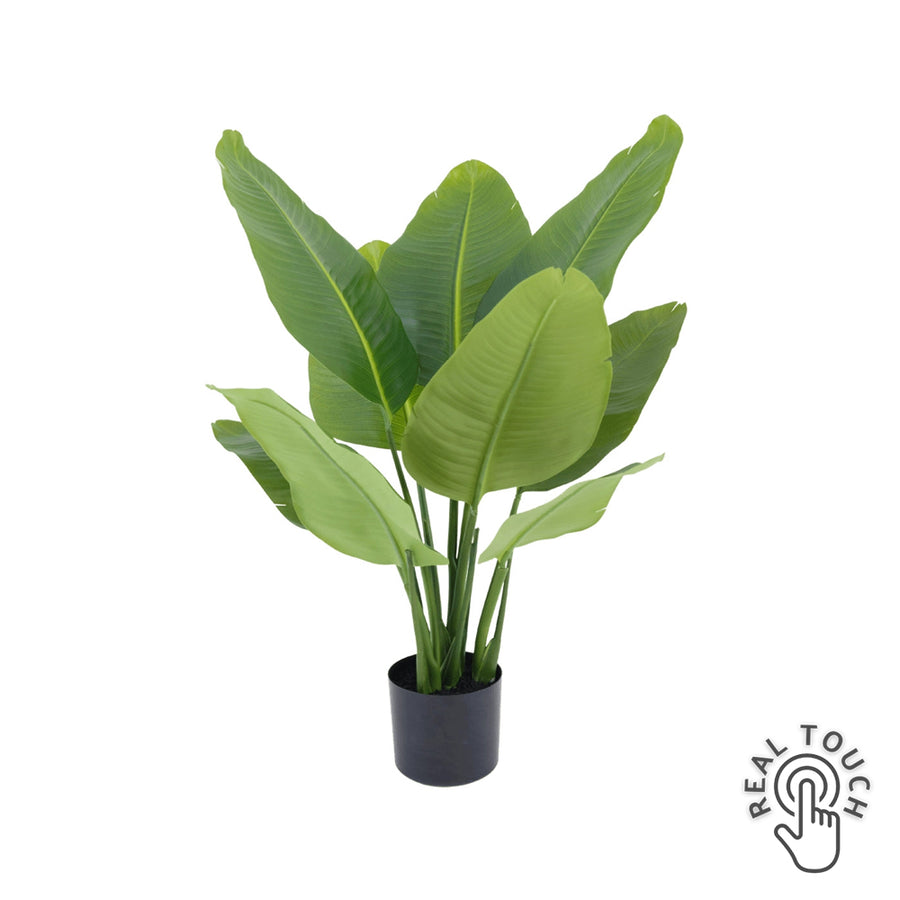 Real touch hatású zöld mű strelitzia 90 cm fekete kaspóban