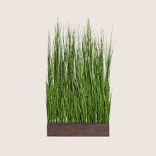 Térelválasztó Műnövények