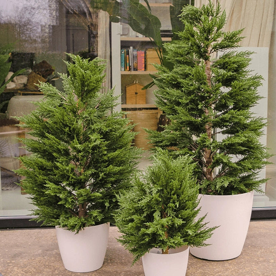 THUJA mű tuják különböző méretben teraszon elhelyezve világos kaspókban