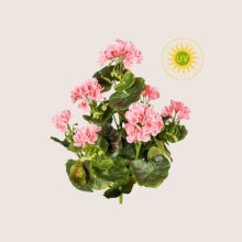 UV-álló Művirágok