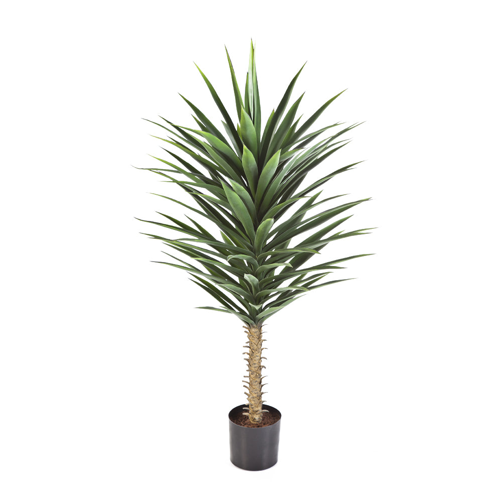 YUCCA zöld mű jukka pálma 130 cm teljes növény fekete cserépben.