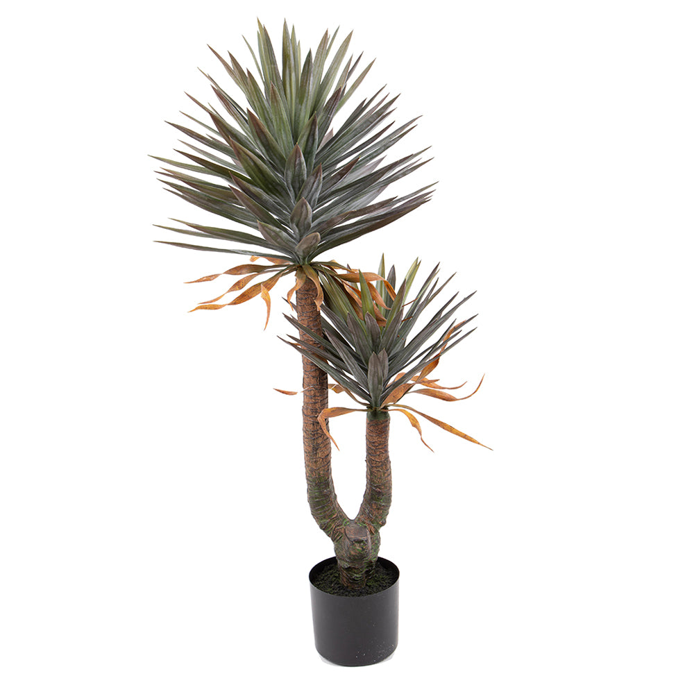 Élethű, két törzsű, 142 cm magas zöld mű jukka pálma fekete cserépben.