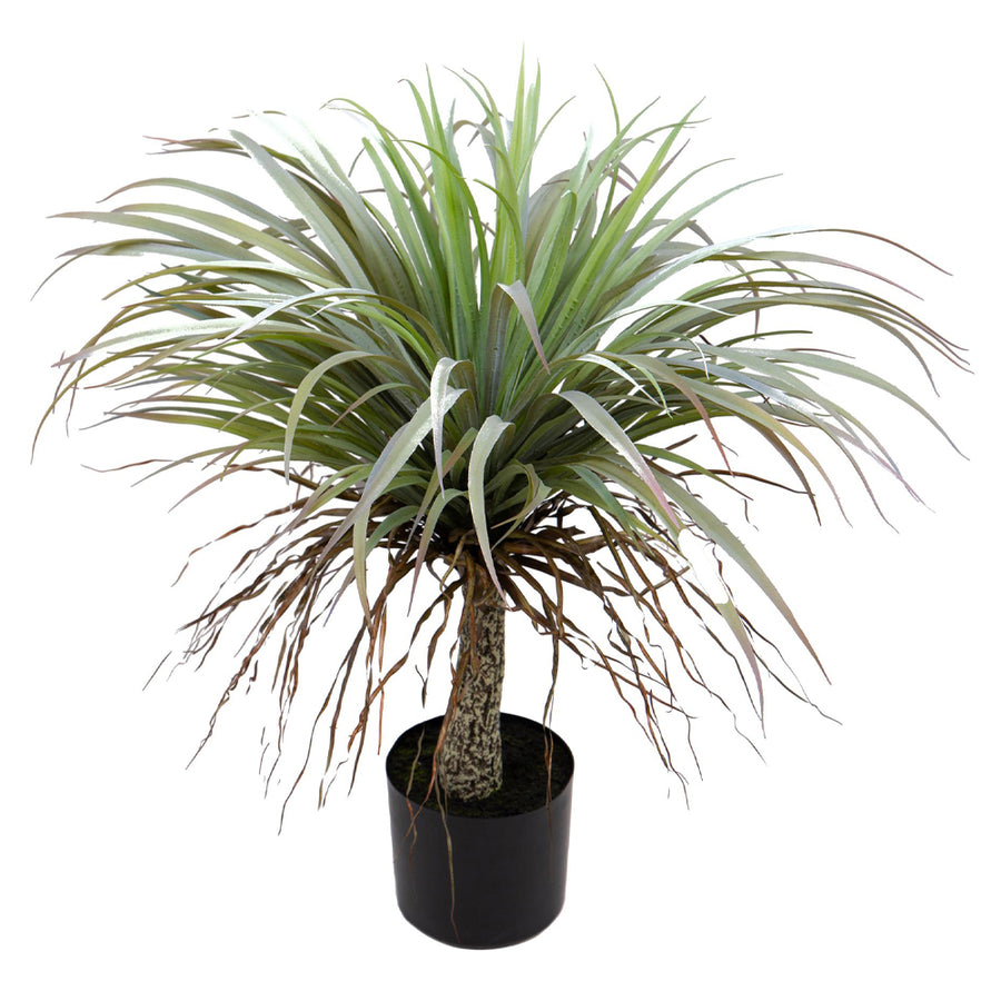 YUCCA zöld mű jukka pálma oldalnézetből, fekete kaspóban