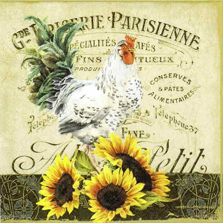 ROOSTER 20 db-os papírszalvéta