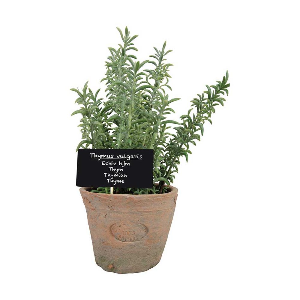 Élethű, mesterséges kakukkfű dekor műnövény, vintage stílusú pecsétes terrakotta cserépben