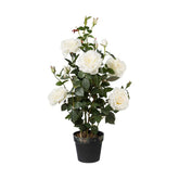 Prémium minőségű, nagyméretű, 90 cm magas, fehér színű, élethű mesterséges mű rózsabokor, fekete műanyag cserépben