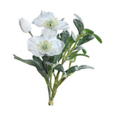 Jeges mű hunyor fagyönggyel.