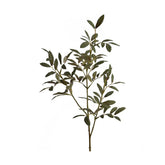 Fáradt zöld színű, olíva ág műnövény.