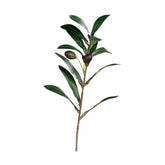 Mű olíva pick 44 cm "Olea"