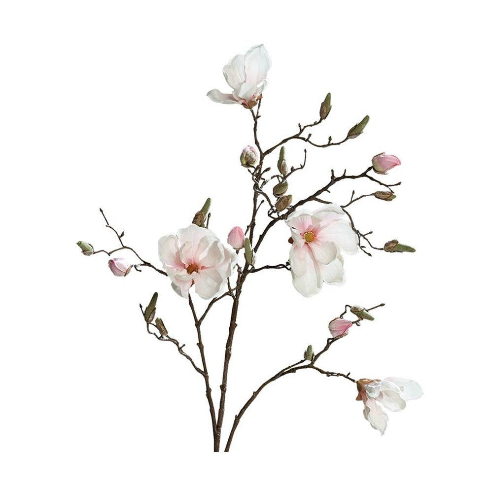 Élethű, halvány rózsaszín színű magnólia művirág, nyílt, bimbós és rügyező virágokkal.