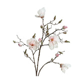 Élethű, halvány rózsaszín színű magnólia művirág, nyílt, bimbós és rügyező virágokkal.