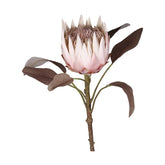 szárított hatású, 66 cm magas, halvány rózsaszín színű szálas protea művirág