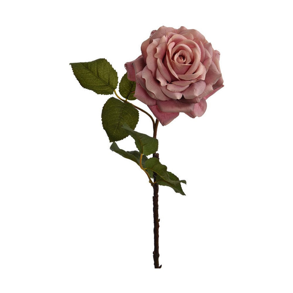 Rózsa művirág, nyílt mályva színű virágfejjel.