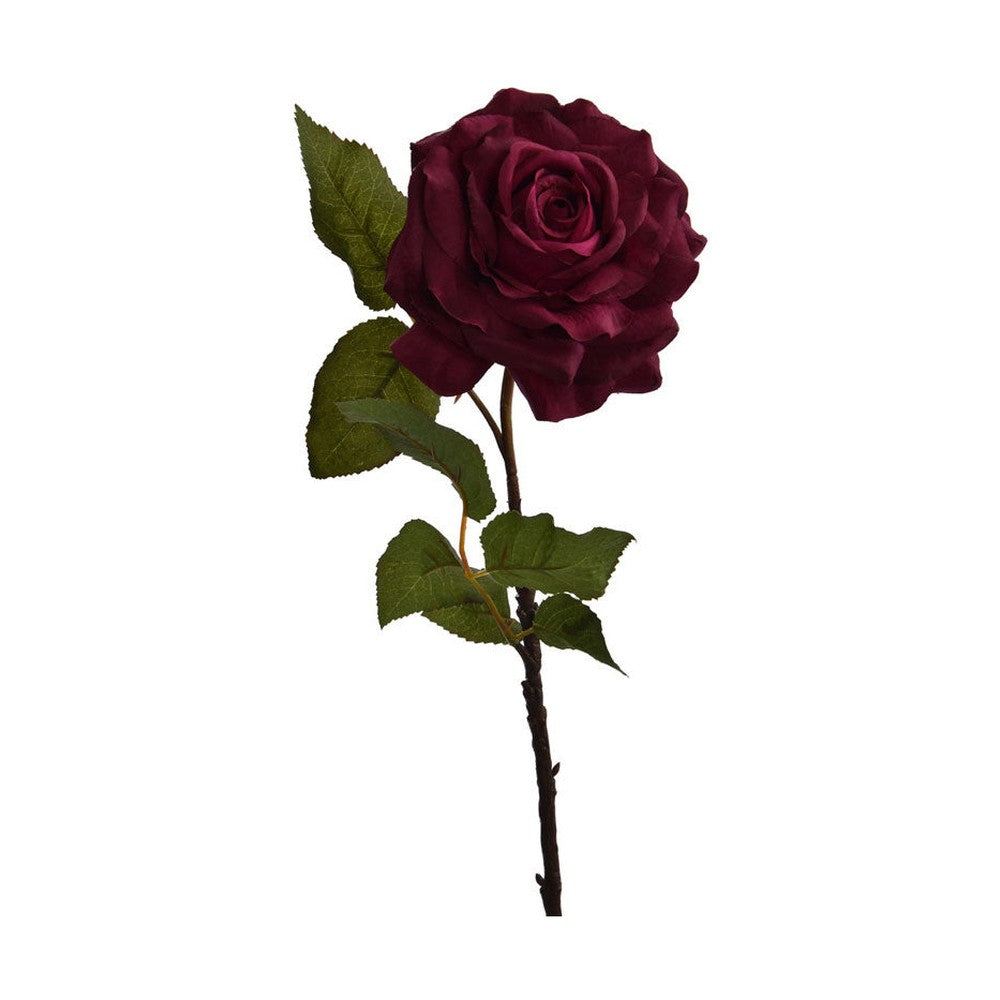 Rózsa művirág, nyílt viola színű virágfejjel.