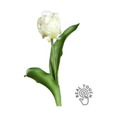 Fehér színű, papagáj tulipán művirág.