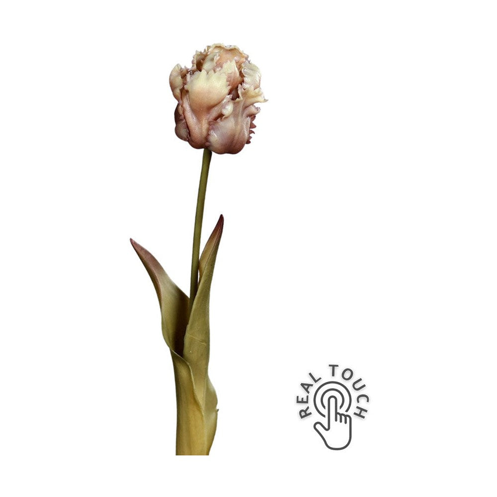 Fáradt barna színvilágú, vintage stílusú, papagáj tulipán művirág.