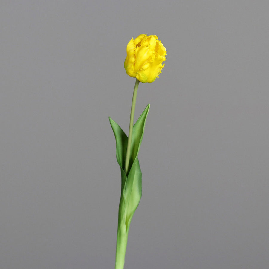 Sárga színű, papagáj tulipán művirág.