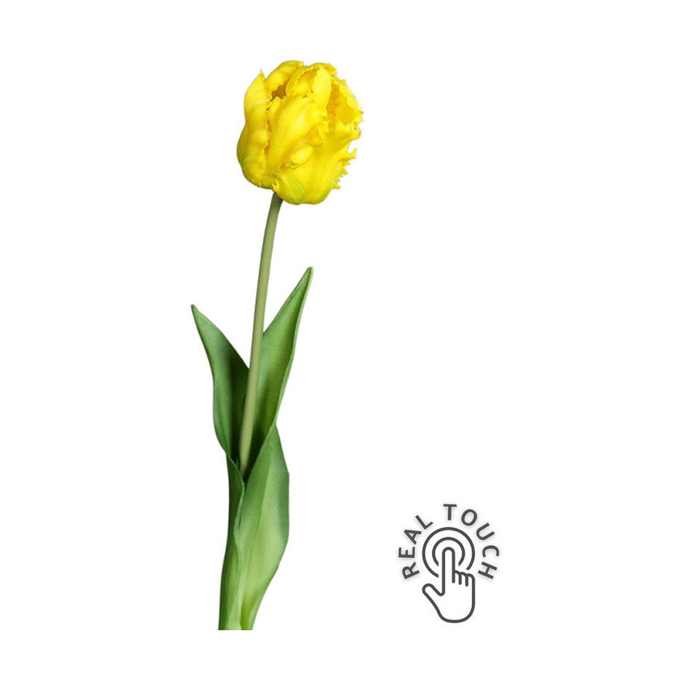 Sárga színű, papagáj tulipán művirág.