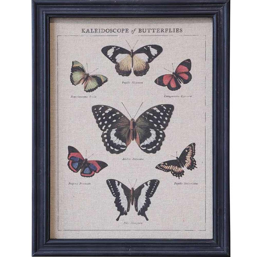 Lepkék botanikai rajza vászonnyomaton antik fekete színű vintage fa képkeretben