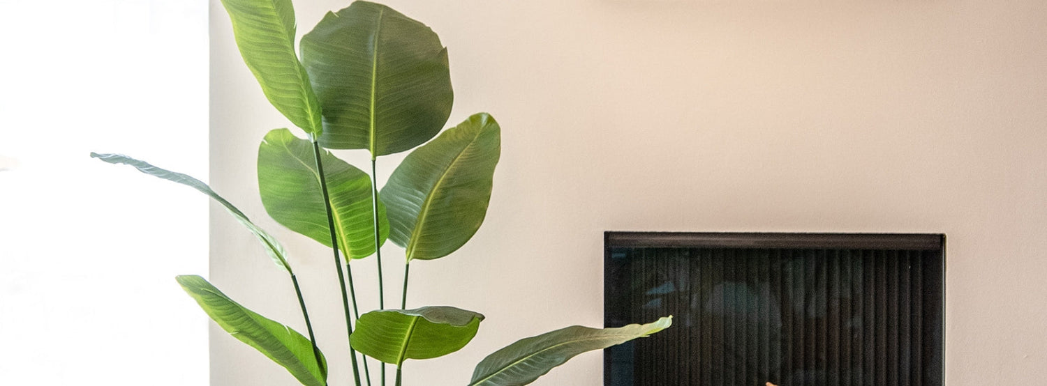Mű strelitzia modern nappaliban.