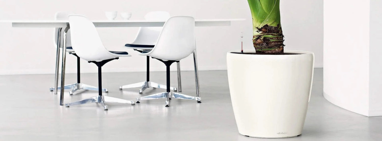 Műanyag, modern, önöntözős kivitelű fehér design kaspó modern irodai enteriőrben.