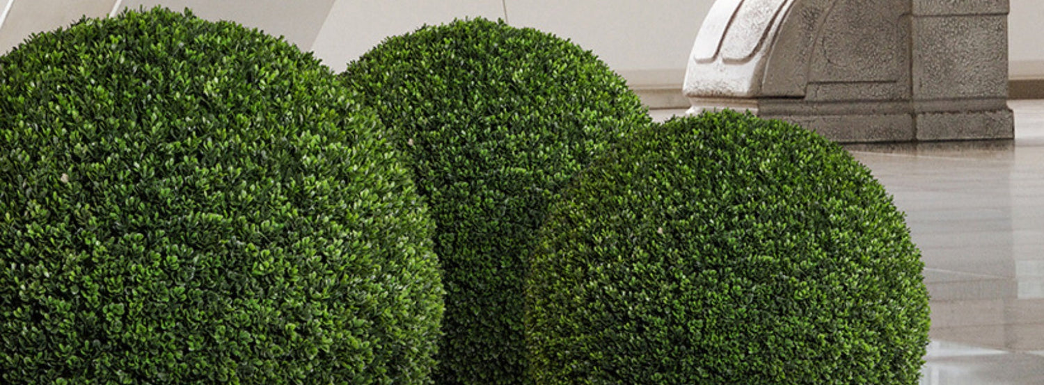 Mű buxus gömbök loft térben.