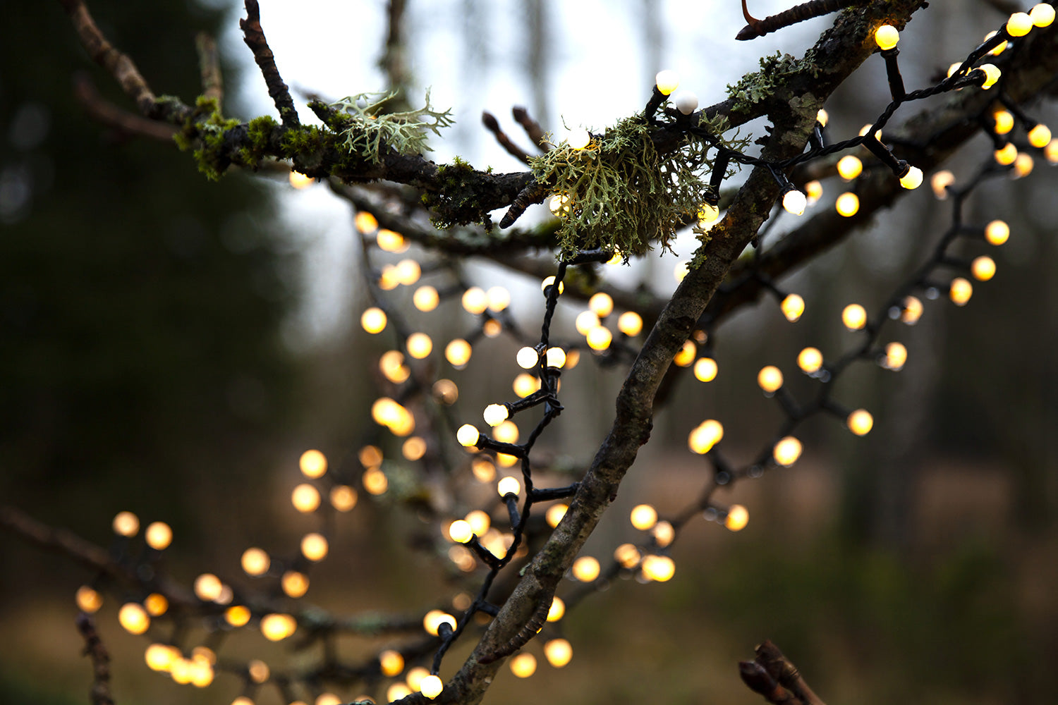 Meleg fehér fényű, 700 LED-es bogyós fényfüzér.